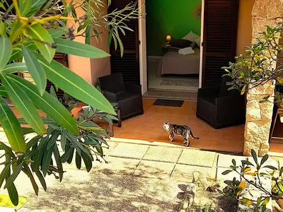 Ferienhaus für 2 Personen (45 m²) in Costa Paradiso 4/10