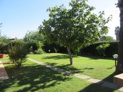Bild 5