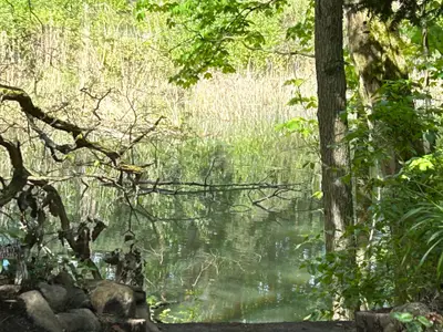 Ferienhaus für 4 Personen (30 m²) 10/10