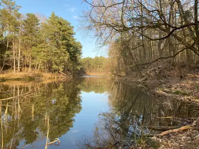 Ferienhaus für 4 Personen (30 m²) in Coswig (Sachsen-Anhalt) 1/10