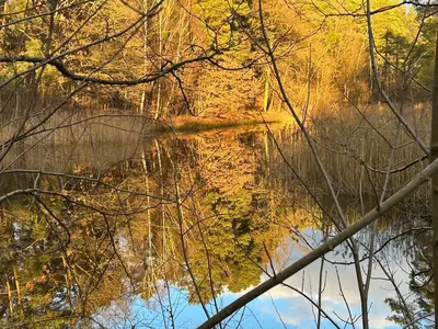 Ferienhaus für 4 Personen (30 m²) in Coswig (Sachsen-Anhalt) 8/10