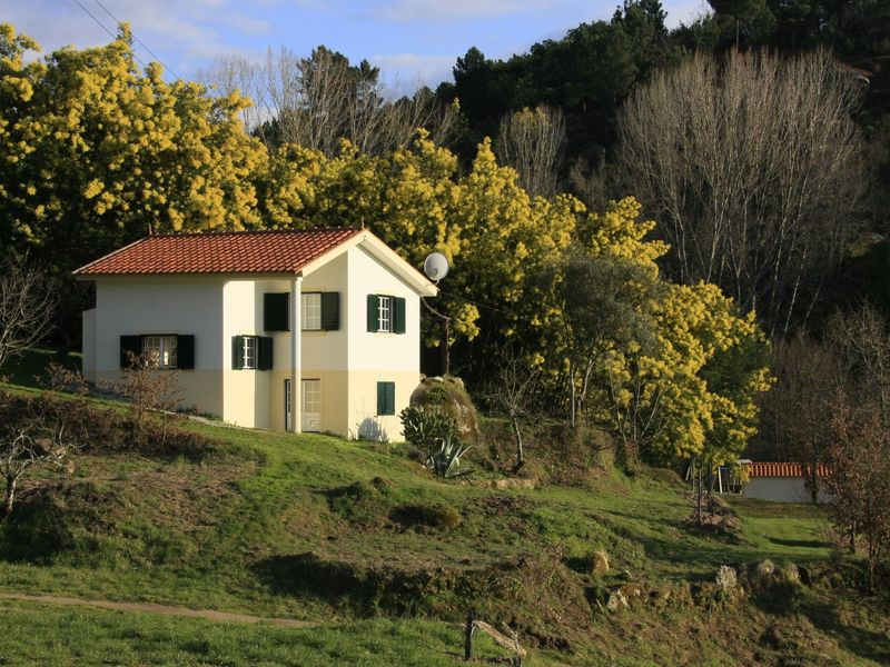 19355651-Ferienhaus-2-Covas-800x600-0