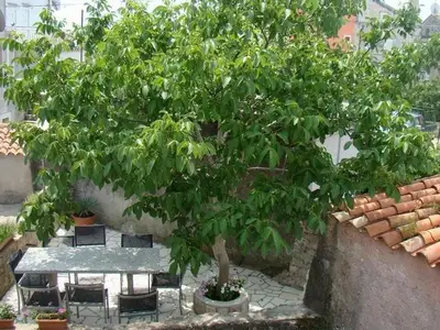 Ferienhaus für 8 Personen in Cres 5/10