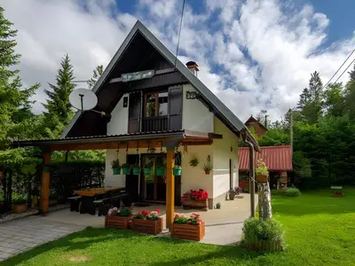 Ferienhaus für 5 Personen (44 m²) in Crni Lug 1/10