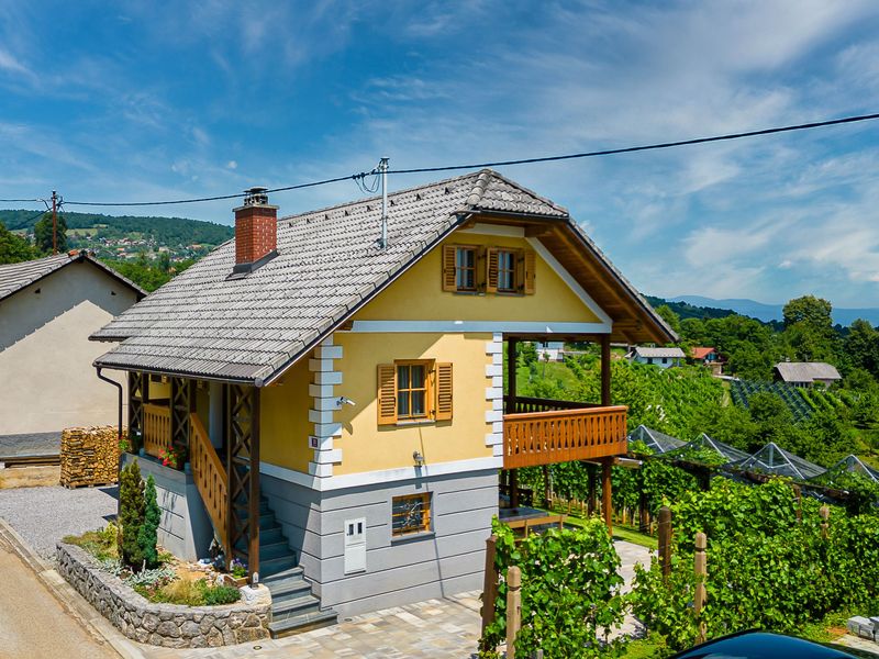 23708707-Ferienhaus-6-Crnomelj-800x600-0