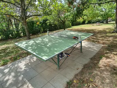 Ferienhaus für 4 Personen (60 m²) in Cserszegtomaj 7/10