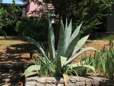 Ferienhaus für 6 Personen in Ćunski 5/10