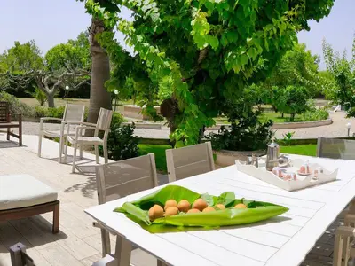 Balkon. Mittagstisch unter Fruchtbäumen und Palmen