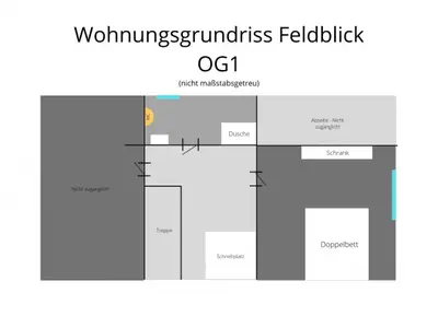feldblickog