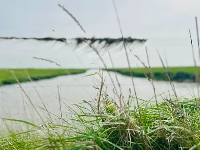 Landschaft
