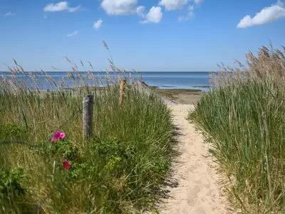 Strand