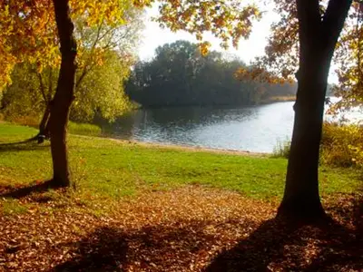 Ferienhaus für 7 Personen (85 m²) in Dabel 2/10