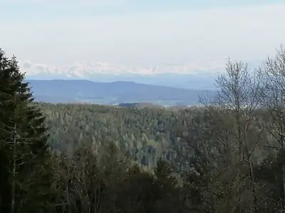 Ferienhaus für 8 Personen (120 m²) in Dachsberg 2/10