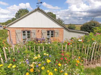 Ferienhaus für 4 Personen (80 m²) in Dagebüll 1/10