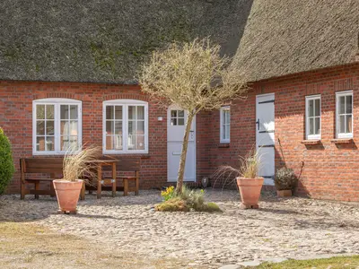 Ferienhaus für 6 Personen (150 m²) in Dagebüll 2/10