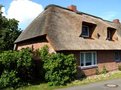 Ferienhaus für 4 Personen (75 m²) in Dagebüll 8/10