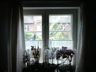 Ferienhaus für 4 Personen (75 m²) in Dagebüll 9/10