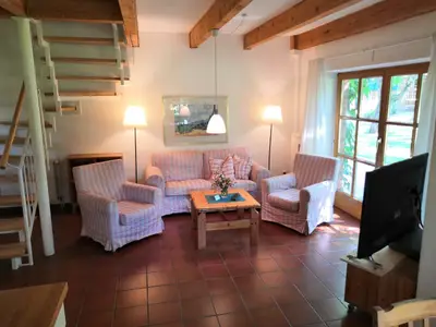 Ferienhaus für 5 Personen (120 m²) in Dahlenburg 1/10