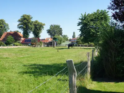 Ferienhaus für 3 Personen (41 m²) in Dahme 5/9