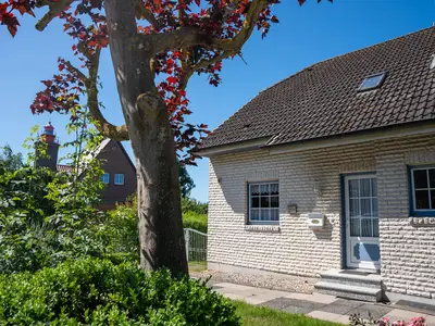 Ferienhaus für 5 Personen (100 m²) in Dahme 1/10