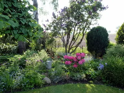 Ferienhaus für 4 Personen (120 m²) in Dahme 7/10