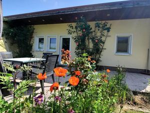 Ferienhaus für 4 Personen (60 m²) in Dahmen
