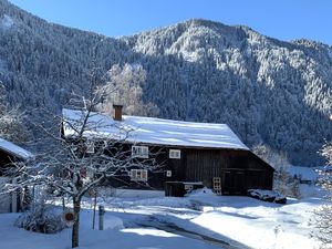 Ferienhaus für 9 Personen (140 m&sup2;) in Dalaas