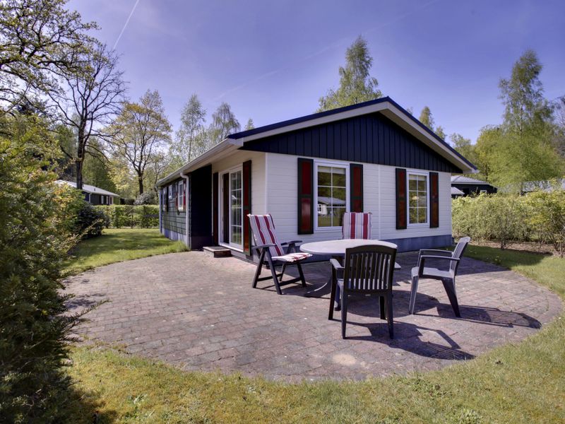 23855169-Ferienhaus-4-Dalfsen-800x600-0