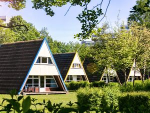 Ferienhaus für 6 Personen (65 m²) in Damp