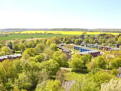 Ferienhaus für 4 Personen (80 m²) in Damp 8/10