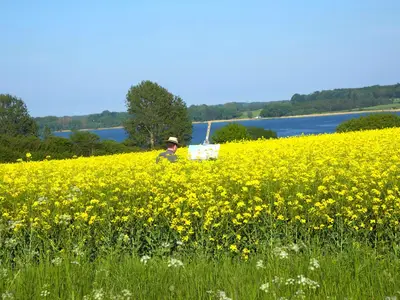 Ferienhaus für 2 Personen (50 m²) in Damp 10/10