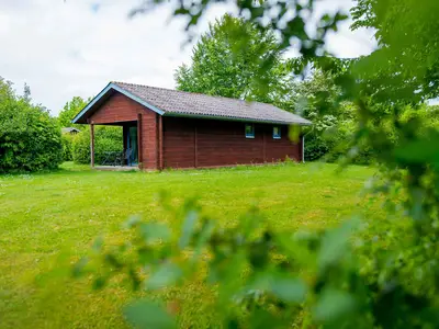 Ferienhaus für 4 Personen (46 m²) in Damp 8/10