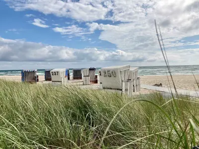 Ferienhaus für 4 Personen (46 m²) in Damp 10/10