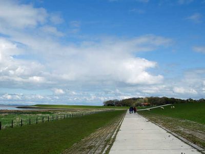 Ferienhaus für 5 Personen (75 m²) in Dangast 6/10