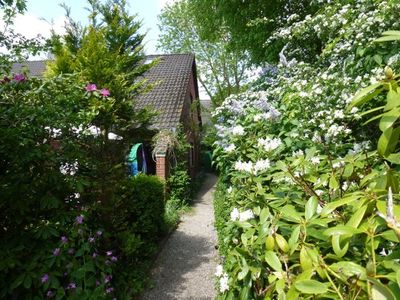 Ferienhaus für 6 Personen (75 m²) in Dangast 3/10