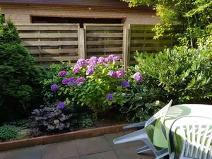 Ferienhaus für 5 Personen (70 m²) in Dangast