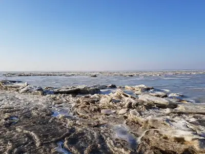 Ferienhaus für 5 Personen (70 m²) in Dangast 2/10