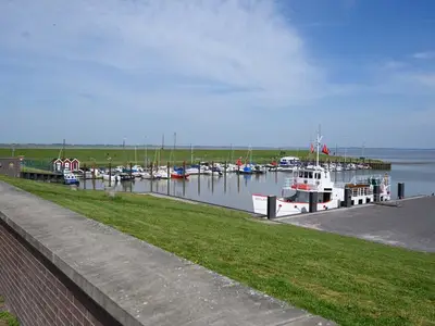 Ferienhaus für 4 Personen (61 m²) in Dangast 9/10