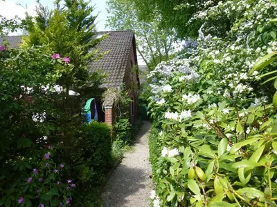 Ferienhaus für 6 Personen (75 m²) in Dangast 3/10