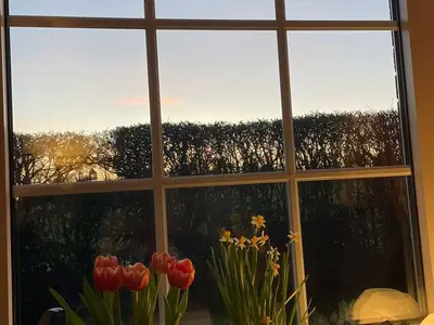 Ferienhaus für 5 Personen (75 m²) in Dangast 4/10