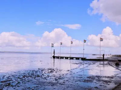 Ferienhaus für 6 Personen (75 m²) in Dangast 3/10