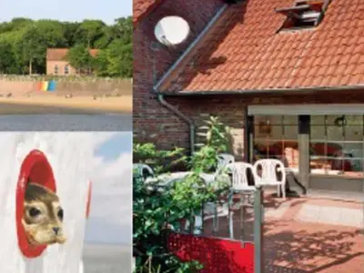 Ferienhaus für 10 Personen (87 m²) in Dangast 1/10
