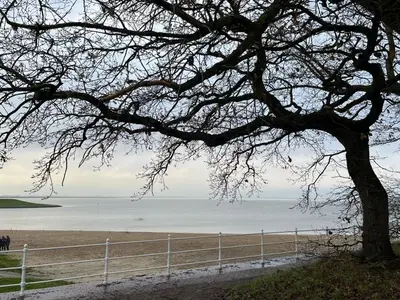 Ferienhaus für 10 Personen (87 m²) in Dangast 9/10