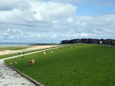 Ferienhaus für 5 Personen (75 m²) in Dangast 6/10