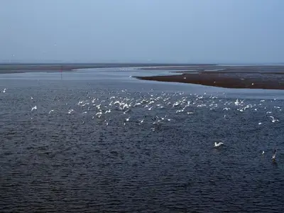 Ferienhaus für 5 Personen (70 m²) in Dangast 6/10