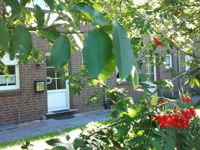 Ferienhaus für 3 Personen (75 m²) in Dangast 3/10