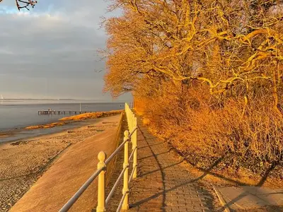 Ferienhaus für 5 Personen (75 m²) in Dangast 6/10