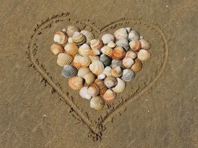 Ferienhaus für 6 Personen (85 m²) in Dangast 3/10