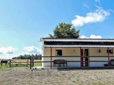 Ferienhaus für 5 Personen (45 m²) in Dankerode 3/10