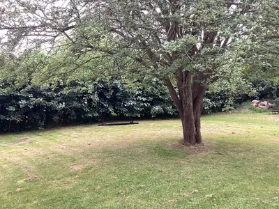 Outdoor
